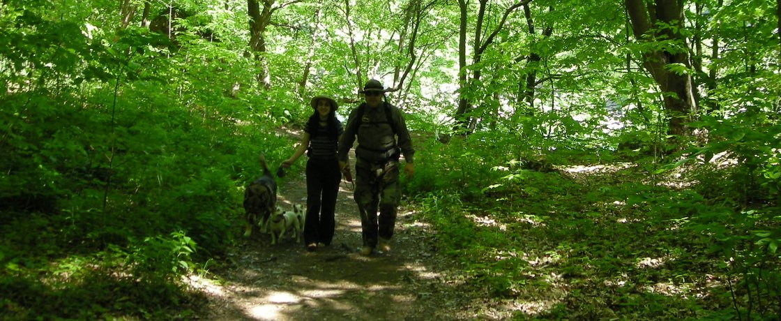 Niagara Gorge – May 29 – 2007