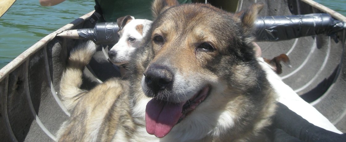 The Life and Times of Mr. Lupis