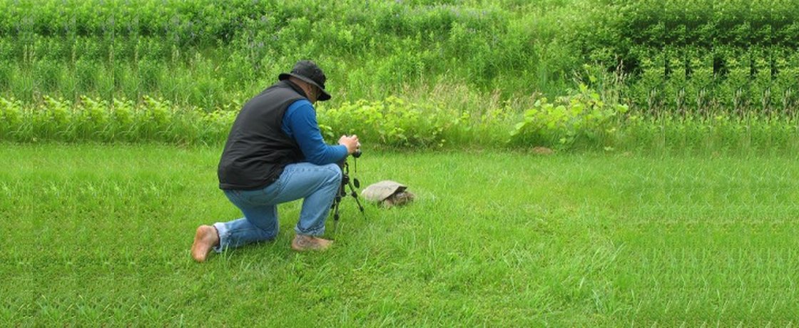 Snapping Turtle – film
