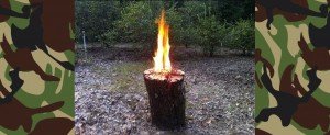 Swedish Fire Log