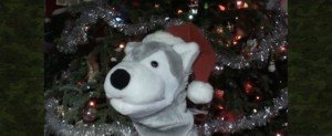Wolfmaan Holiday