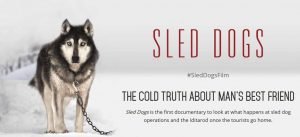 sled-dogs-film-screening