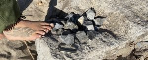 Finding Chert on the Beach