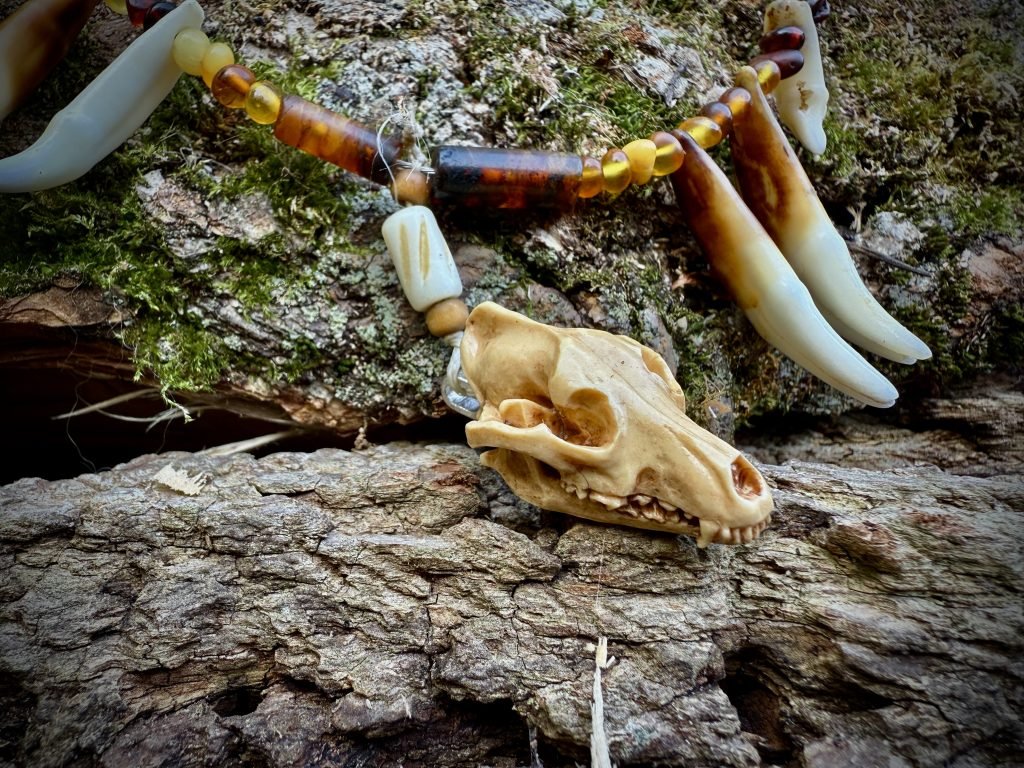 Amber beaded necklace with wolf teeth and skull